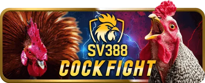 Chơi nổ hũ trên di động VZ999